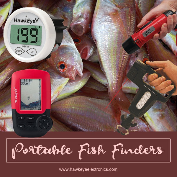Portable fish finders