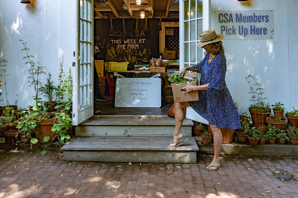 Donna at Amber Waves farm