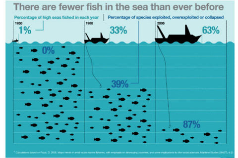 fish-infographic