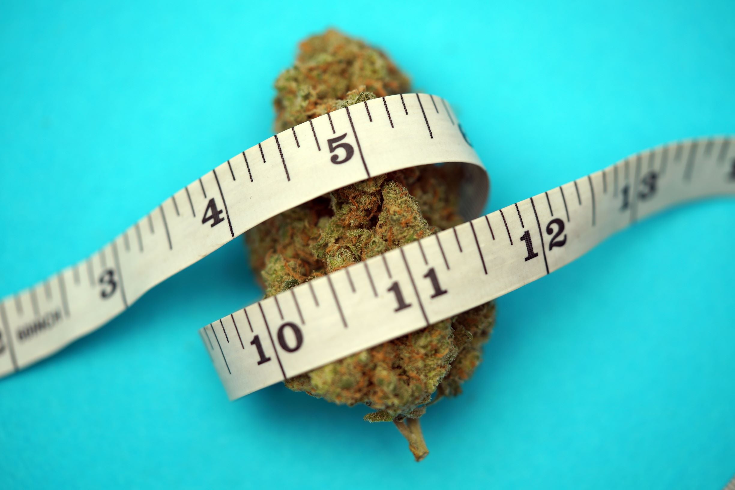 CBD and Weight Loss, A New Discovery?