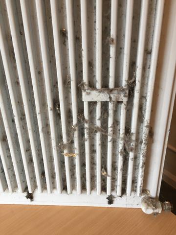 cleaning inside a radiator