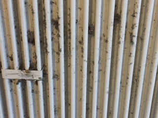 cleaning dirty radiators