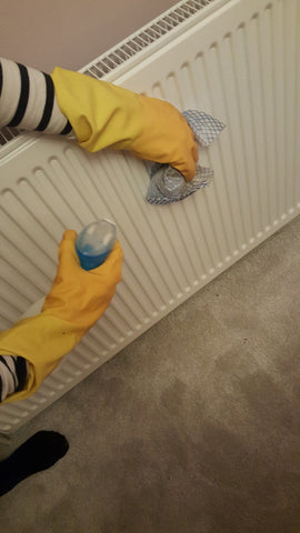 cleaning your radiator