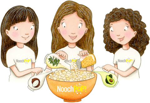 noochpop vegan popcorn flavour