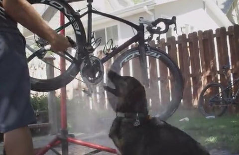 Luna loves bike washing day #Rideitslick