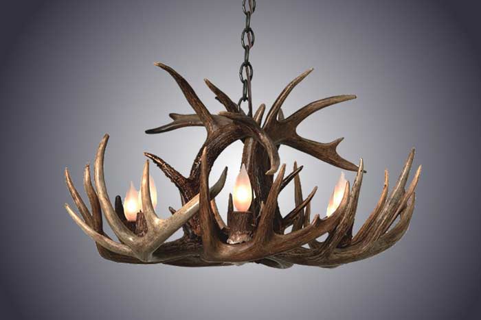 horn chandelier