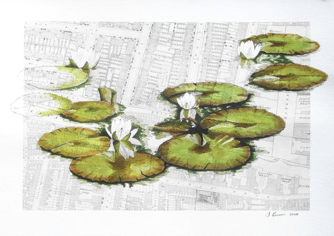 Waterlillies painting by London artist, Sophie Connor