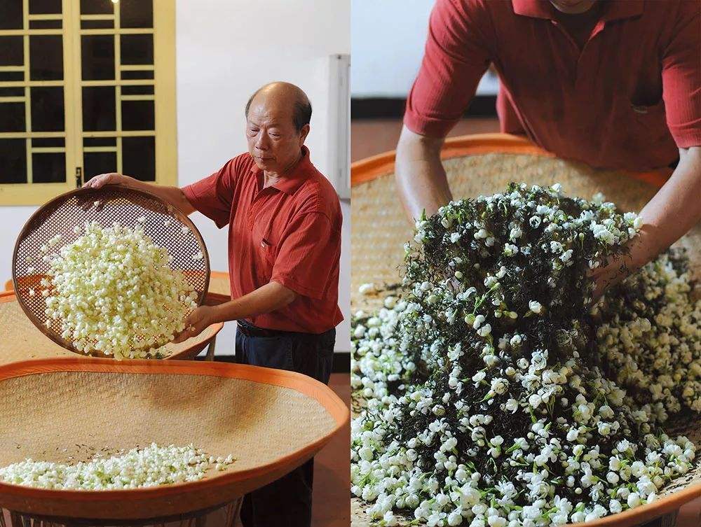 removing jasmine flowers and re-scenting