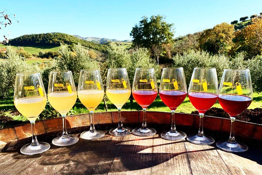 Cantina Indigeno Natural Wine Glasses, Montepulciano d'Abruzzo, Trebbiano d'Abruzzo, Pecorino, Organic Wine