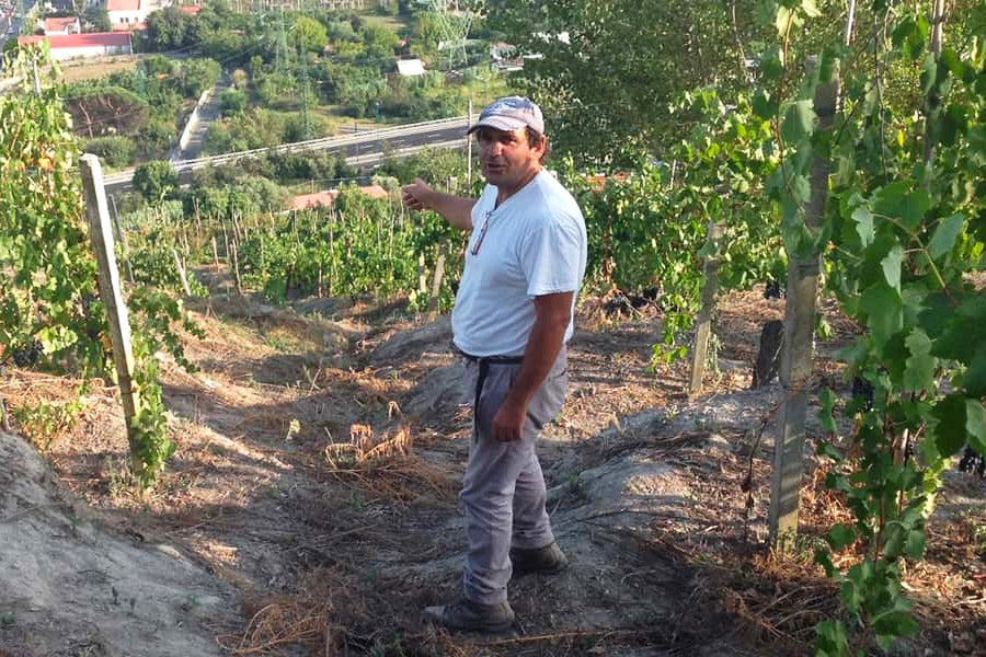 Raffaele Moccia Natural Winemaker of Agnanum, Natural Wine, Heroic Viticultural, Winery in Campania, Southern Italy
