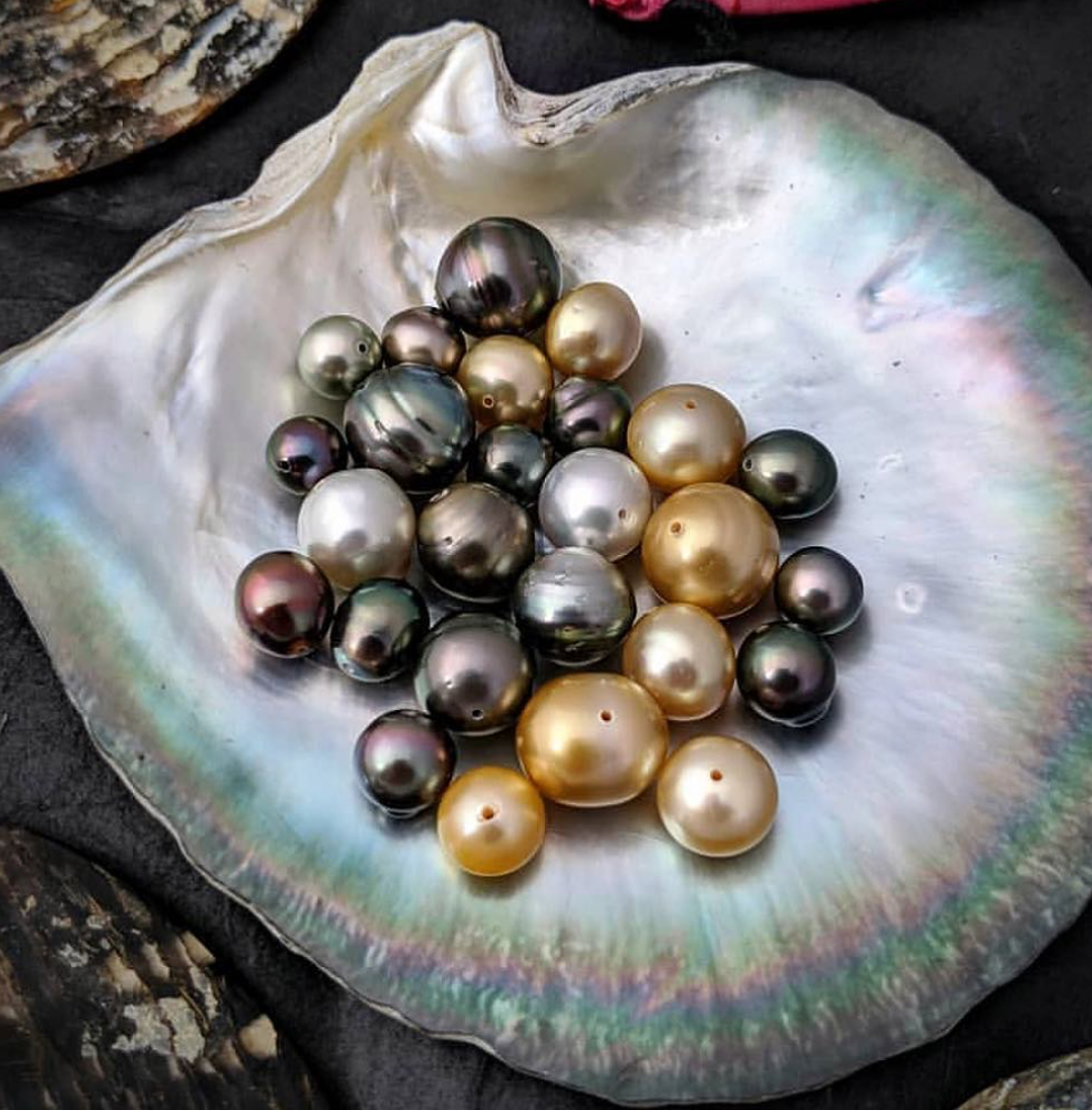 Pearls in a Shell - Alchemy Jeweler