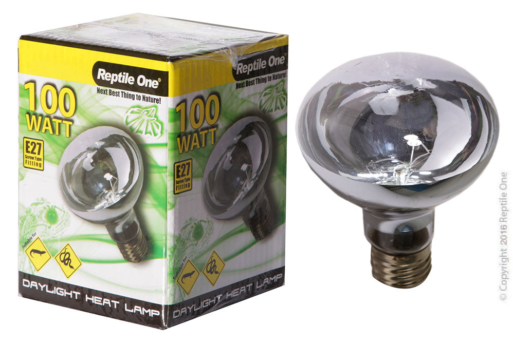 100 watt reptile bulb