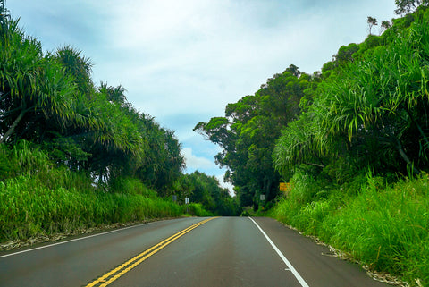 Road to Hana