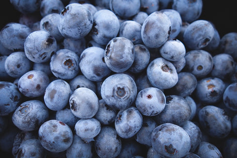 blueberry with compost