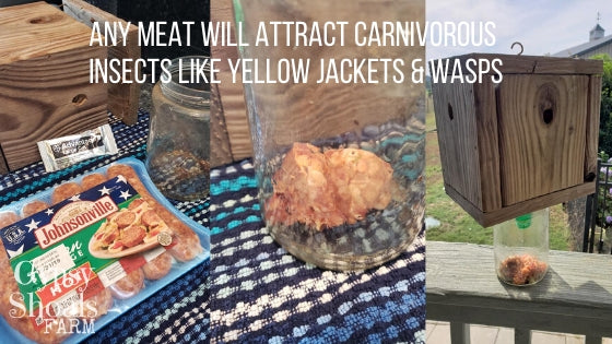 ANY MEAT WILL ATTRACT CARNIVOROUS INSECTS LIKE YELLOW JACKETS & WASPS