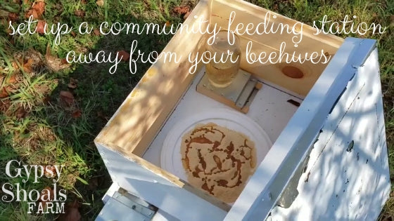 set up a community feeding station away from your beehives