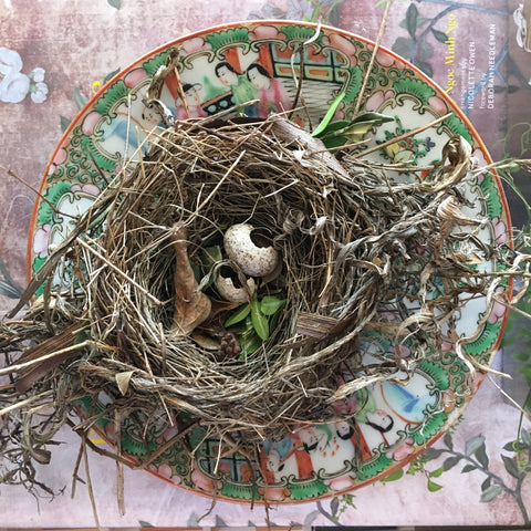 Bird's nest- maura endres design