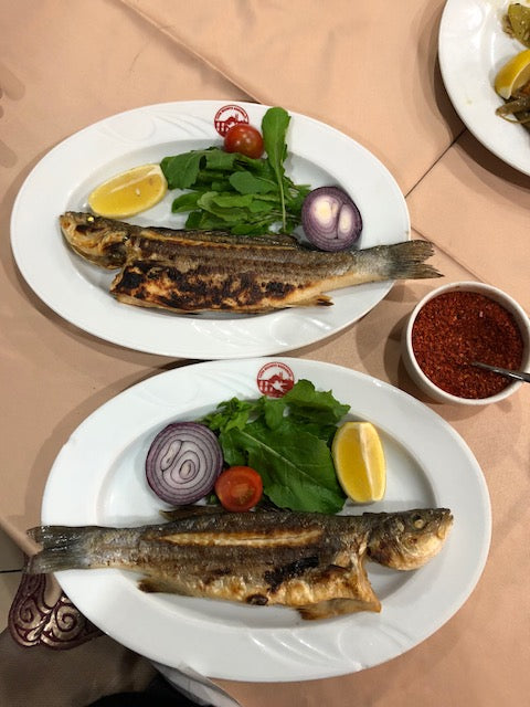 Enjoying fish dinner in Istanbul. 