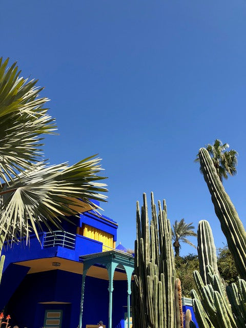 Exploring Marrakech's greenery and scenery. Bright blue sky with deep blue and yellow house next to cacti. 