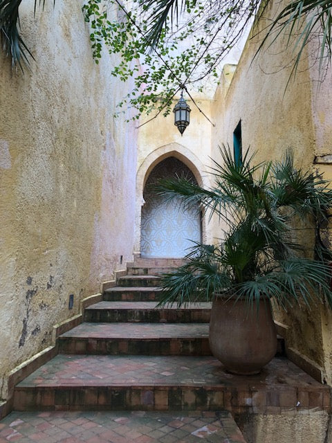 Beautiful entryway way in Fez. Tile stairs leading up to blue and red door under yellow wall with surrounding greenery. 