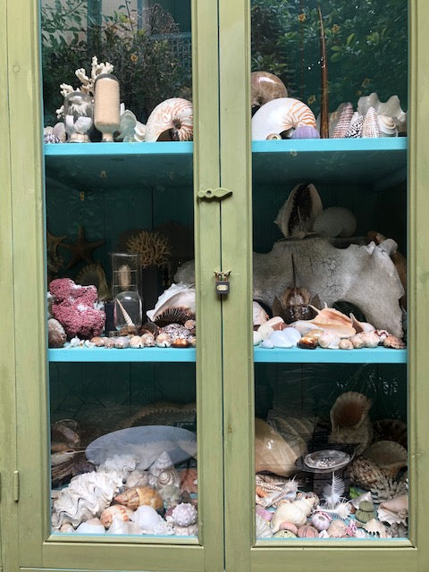 Three tiered shelf of seashells and ocean items.