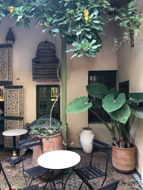 Scene outside in Fez with greenery hanging above and in pots with outdoor seating.