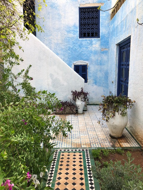 Greenery outside blue home in Fez. Assorted plants surrounding and atop black, tan and white tiled entryway. 