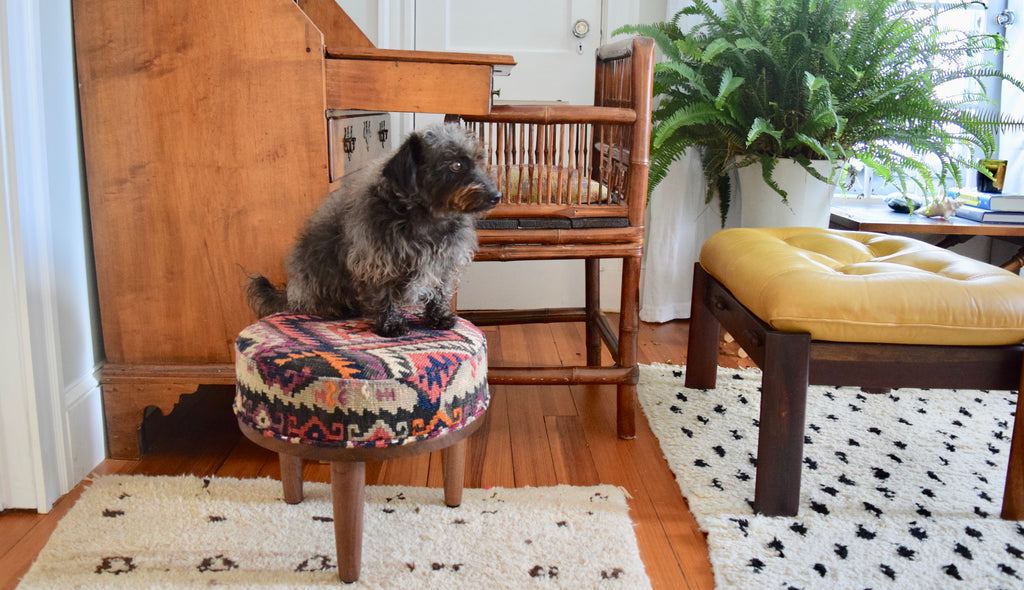 Dog on kilim foot stool