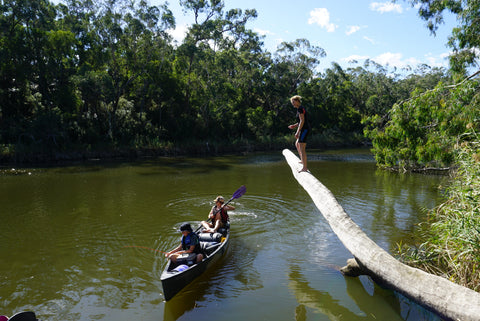 canoeing the glenelg river nelson