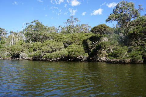 lower glenelg river