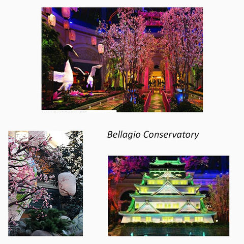 Bellagio's Conservatory with images of Japan's cherry blossoms featured in a blog post by Jackie Vujcich of Colorado Creations Quilting