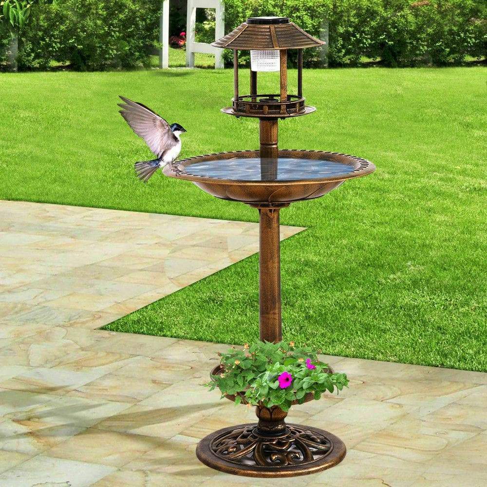 bird bath feeding station