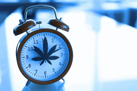 When is the best time to take CBD?