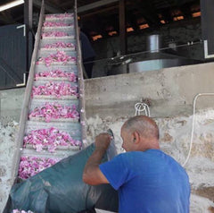 Our rose distillery during the season of rose oil processing 