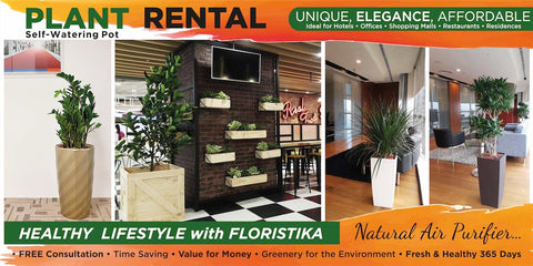 plant rental