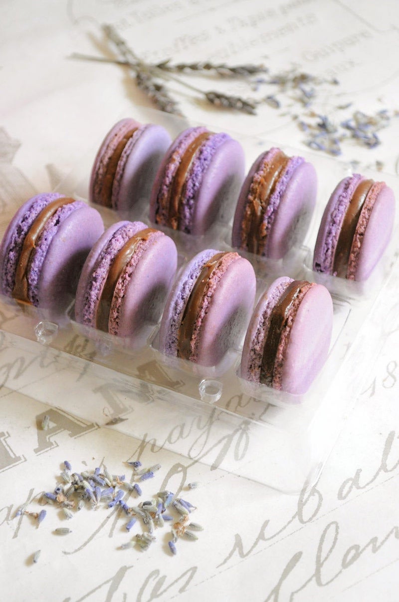French Macaron Lavender and Blueberries
