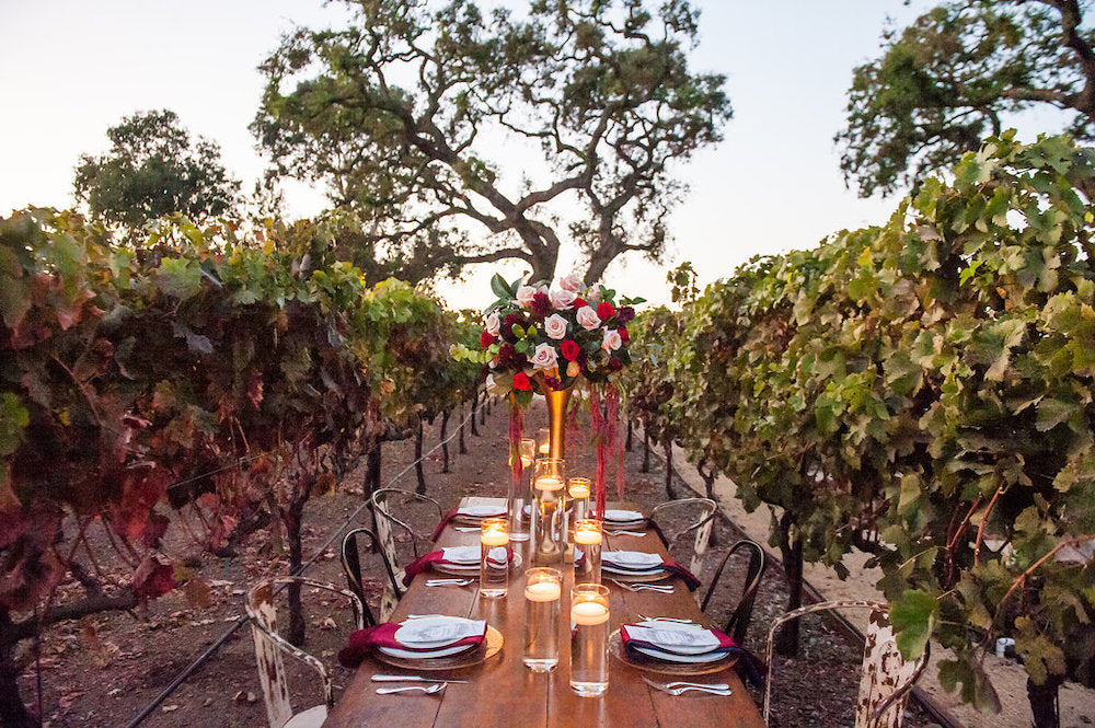 outdoor vineyard wedding - tips for working from home and planning wedding from The Garter Girl