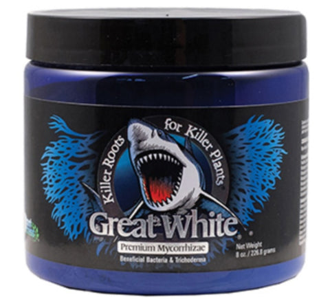 great white 