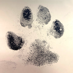 River and Birch Ink Paw Print