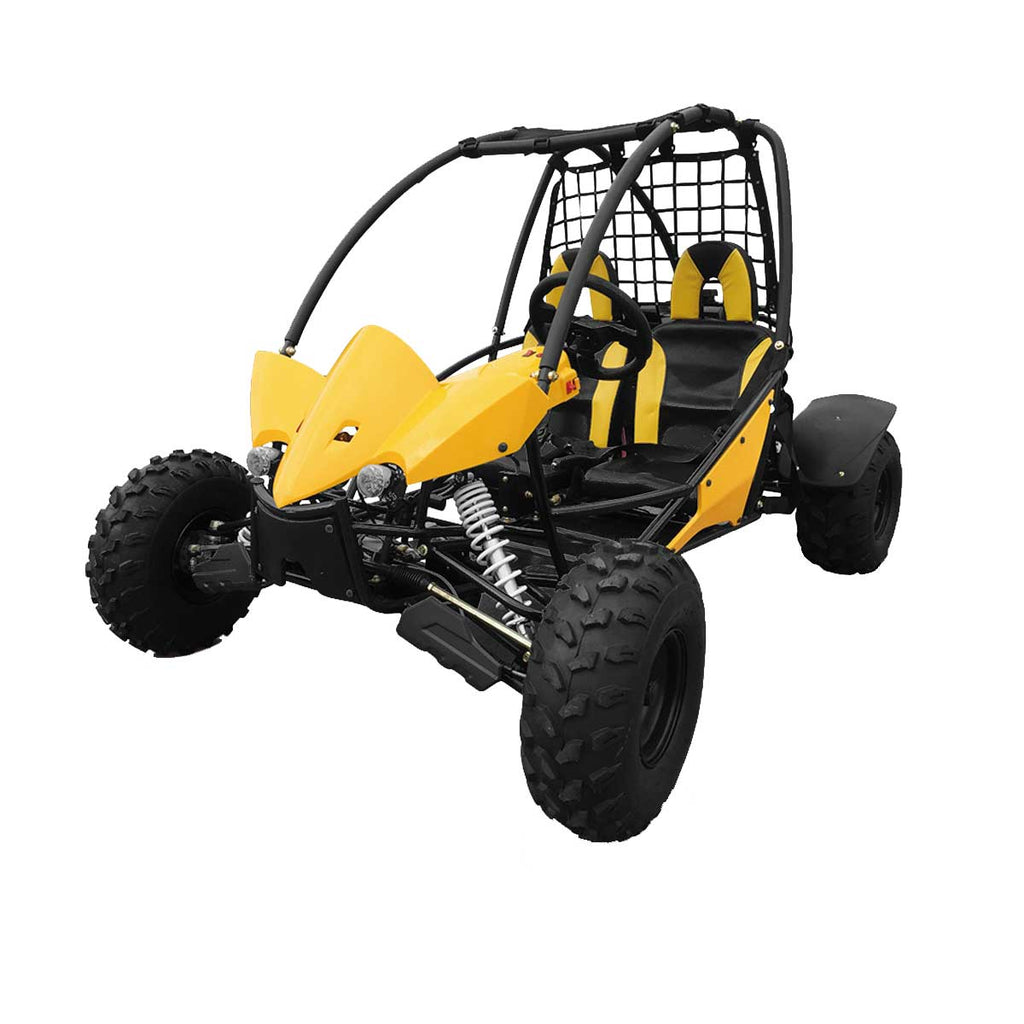 two seater dune buggy for sale