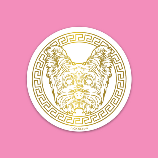 GOLDEN ERA - YORKIE TERRIER - LICKco