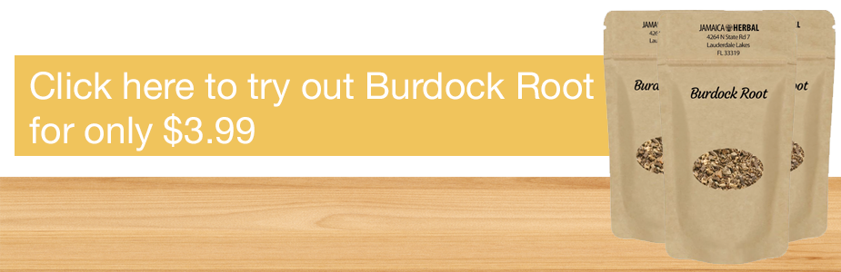 Burdock Root Health Benefits