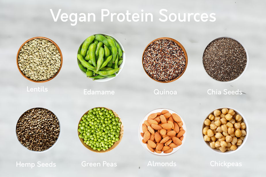 Vegan Protein Sources