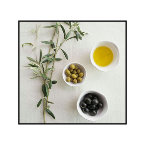 Olive Oil