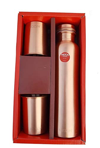 milton thermosteel flask 250ml