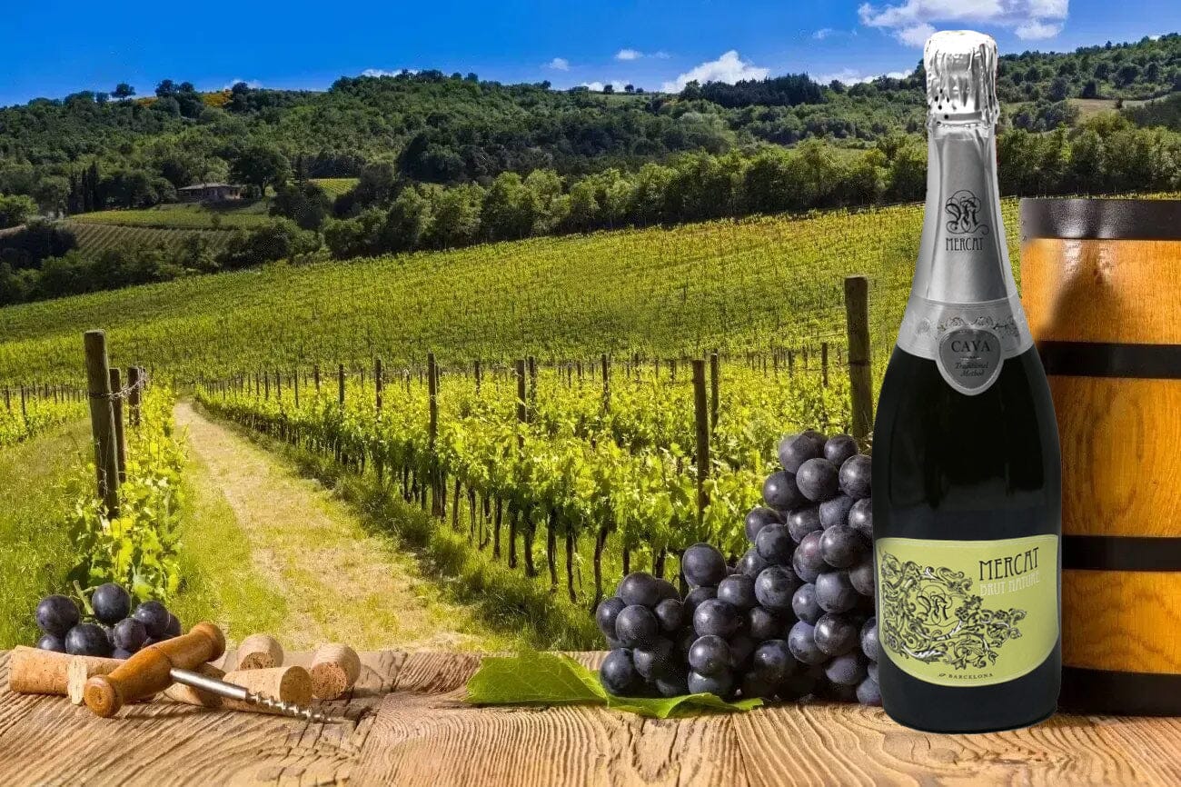 What do you Mean, Extra Brut? Sweetness in Sparkling Wine– Bottle Barn