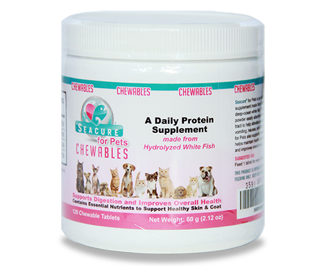 is protein powder ok for dogs