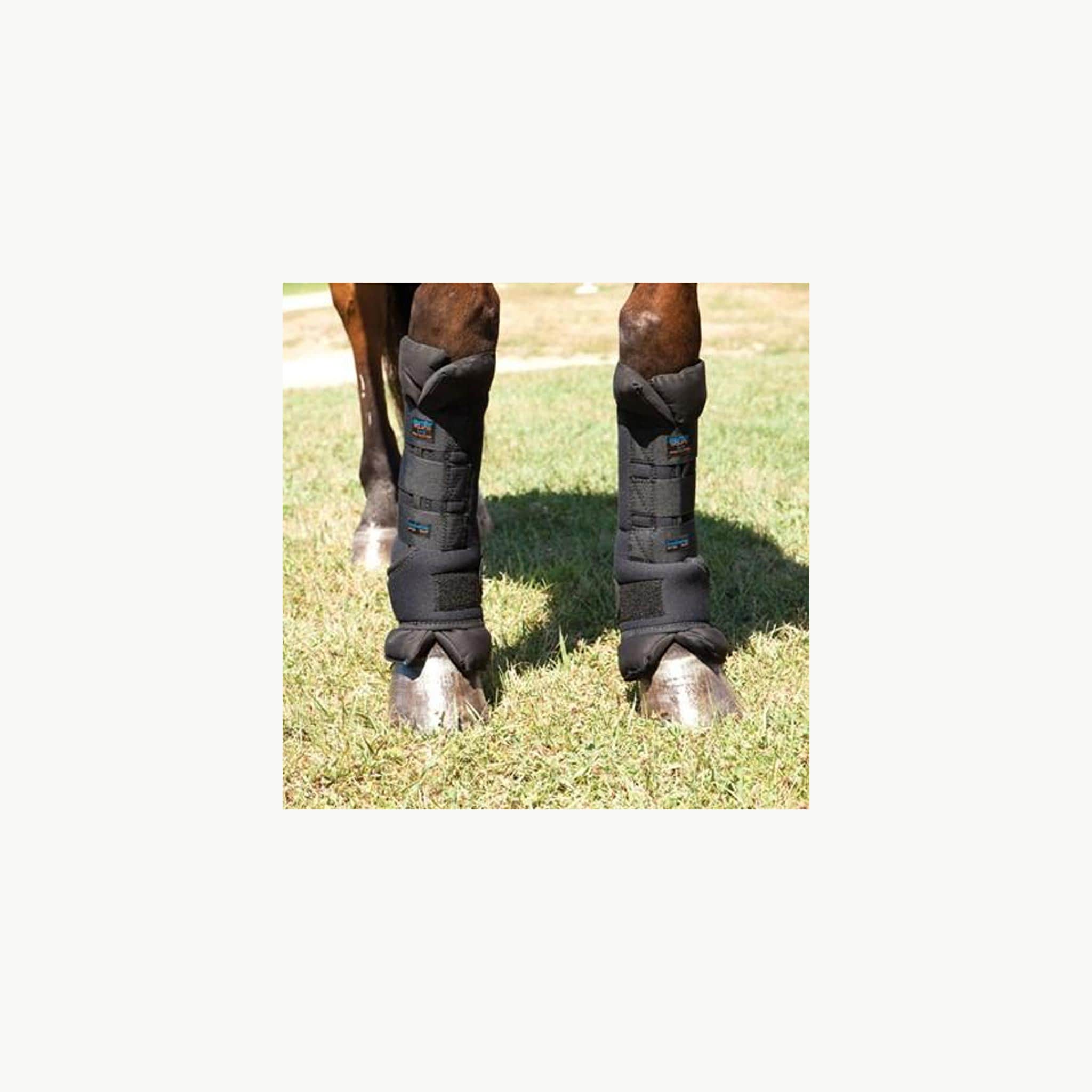 premier equine stable boot wraps