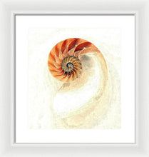 Load image into Gallery viewer, Nautilus - Framed Print