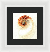 Load image into Gallery viewer, Nautilus - Framed Print